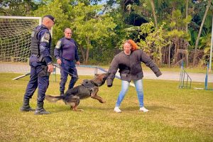 Voluntariado (10)