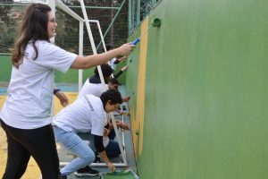 Voluntariado (5)
