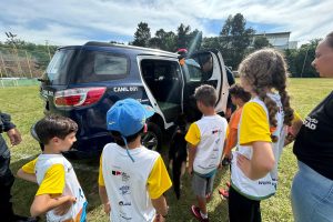 Voluntariado (8)
